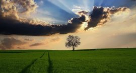 countryside-2175353_640