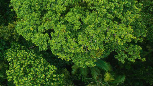 ecologie ecologie